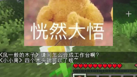 我的世界：萌新和老玩家玩MC的区别，你是哪一种呢？