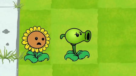 植物大战僵尸：太阳花没事吧