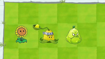 植物大战僵尸：团结的植物