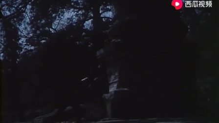 《夜盗珍妃墓06》80年代国产盗墓恐怖片，堪比鬼吹灯。
