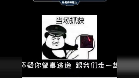 徐老师：老司机现在以肇事逃逸罪逮捕你，请跟我们走一趟