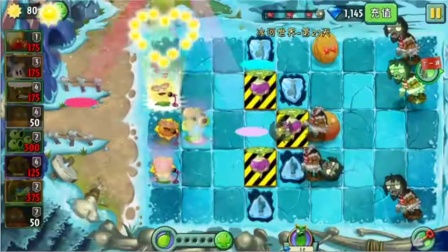 植物大战僵尸：我的地盘听我的！