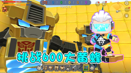 坑货小表弟，小表弟竟让阿乾挑战600个大黄蜂，乾哥能成功吗？