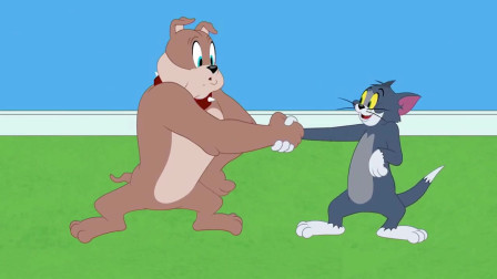 猫和老鼠：汤姆的到来