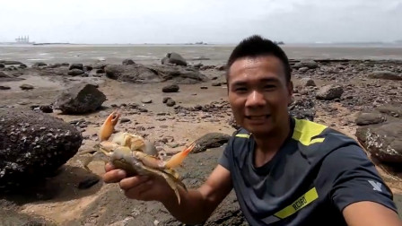渔民阿烽在石头缝中发现了螃蟹踪迹，跟着足迹搜索，连抓4只巨钳大货
