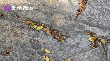 福州一块石头上发现奇怪的脚印,什么情况