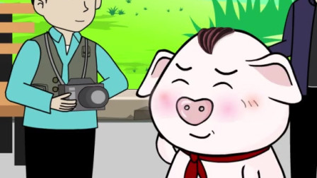 猪屁登: 你们认为屁登最美照片是什么样的?