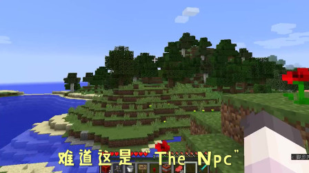 我的世界：你从未遇见过的NPC，原来他伤心的原因是这个？