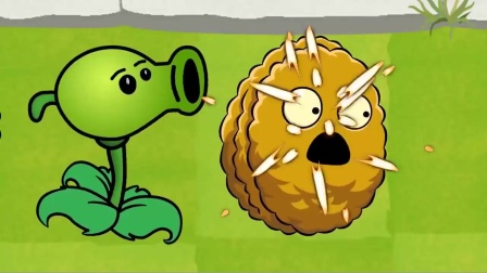 植物大战僵尸：坚硬的小坚果替伙伴挡子弹.