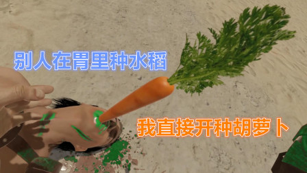 剑与魔法：别人在胃里种水稻，我直接种胡萝卜