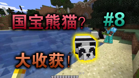 我的世界: 发现野生大熊猫，可以带回家收养起来吗？