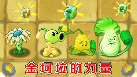 pvz2：吃完金坷垃的植物，都会发生哪些化学反应？