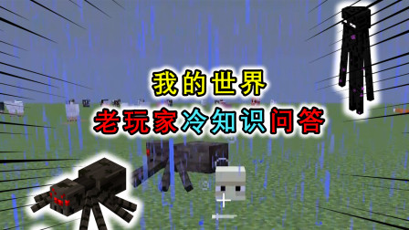 我的世界：老玩家冷知识问答，跑的最快的生物是幻翼？