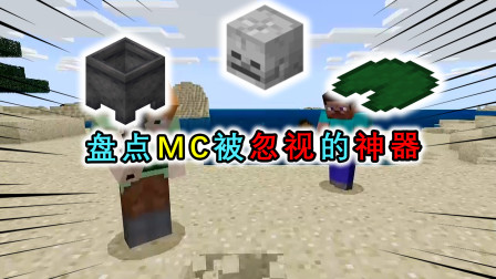 我的世界盘点：MC里被玩家忽视的神器，睡莲可以让你无视地形