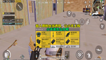 和平精英：敌人用粉丝当诱饵，让小天上钩，小天该怎么办呢？