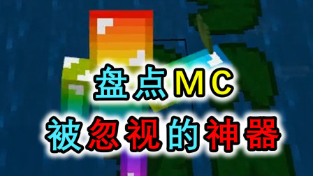 MC那些被玩家忽视的神器，睡莲上榜，炼药锅可以将水带入下界？