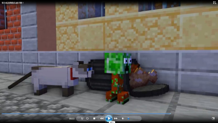 苦力怕流落街头被猫欺！