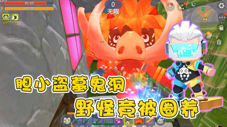 迷你世界盗墓篇：胆小阿乾探秘鬼洞，野怪竟然被圈养？