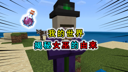 揭秘我的世界女巫，可以无视药水攻击，还是隐藏的化学大佬？