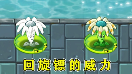 植物大战僵尸2：不一样的回旋镖射手，这才是他真正的实力？
