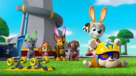 汪汪队立大功谁是最有野心的狗狗？