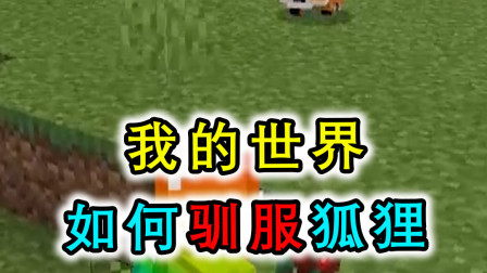 我的世界：狐狸无法被驯服？狐狸的驯服比其他生物复杂