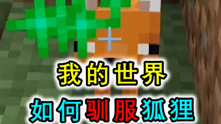 我的世界：狐狸无法被驯服？成年的狐狸不能被驯服，幼年的才可以！