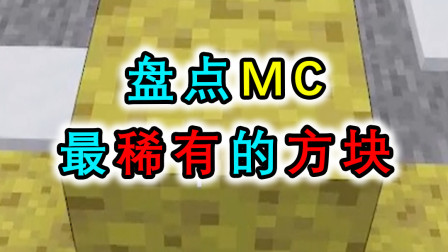 我的世界盘点：MC超稀有的方块，利用火把能获得末影水晶？