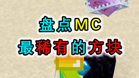 盘点MC超稀有的方块，海绵方块垫底