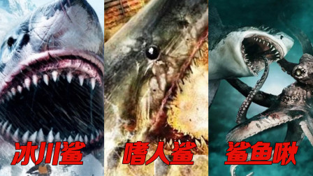 盘点变种鲨鱼，冰川鲨VS嗜人鲨VS食人鳄, 鲨鱼啾大战乌贼娘