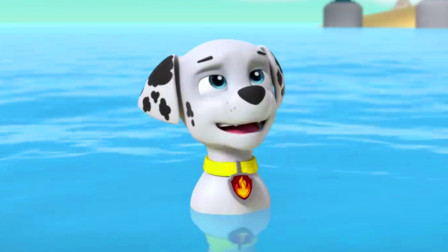 汪汪队立大功毛毛被什么困住了？