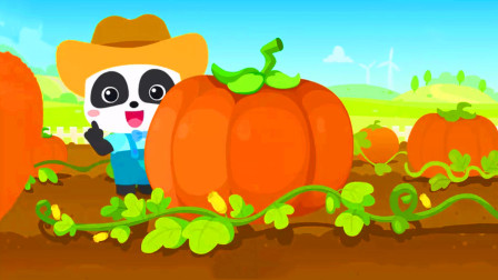 南瓜地里的南瓜到底是谁的？宝宝巴士习惯养成游戏