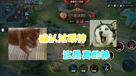 爆笑峡谷：赵云是不是人不好说，但这干将是真的狗
