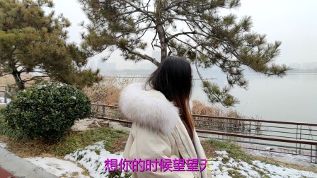 100首必听经典老歌之一《相思的苦》