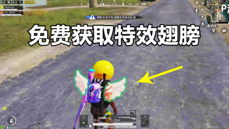 蛋蛋模仿秀424：关于扭蛋机的三个冷知识 你应该知道