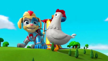 汪汪队立大功咕咕鸡遇到了什么样的危险？