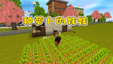 迷你世界：姐妹花帮农夫收萝卜，姐姐要萝卜妹妹要种子，谁做的对