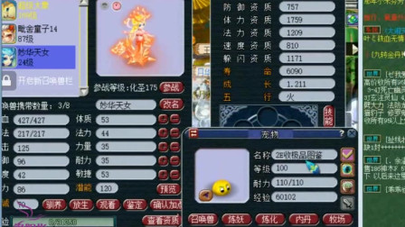 梦幻西游：老王回炉出六技能妙华天女，这资质也太离谱了