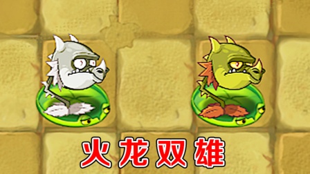 植物大战僵尸：据说两个火龙草，可以战胜全部僵尸？
