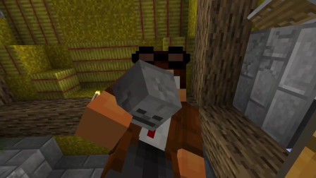 趣味动画：我的世界