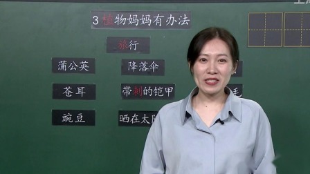 上海市中小学网络教学课程 二年级 语文：课文3.植物妈妈有办法（二）