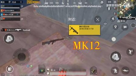 和平精英：新枪MK12狙击枪怎么样？玩家趴下来使用有惊喜！