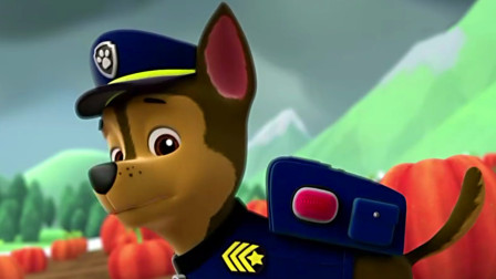 汪汪队立大功阿奇被什么东西卡住了？