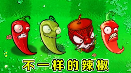 植物大战僵尸：不同版本中的火爆辣椒，有什么区别？