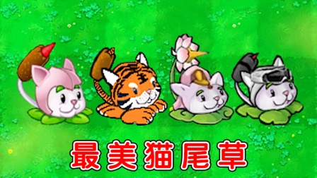 植物大战僵尸：不同版本中的猫尾草，有什么区别？