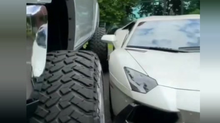 谁说大牛不实用，踩着上皮卡刚刚好