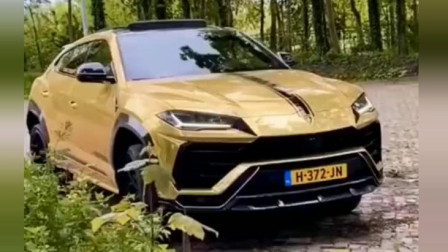 不会真有人开劳斯莱斯URSR去越野吧