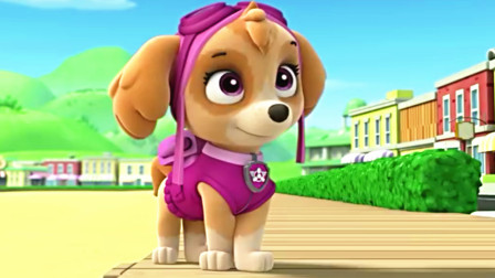 汪汪队立大功天天执行任务时被什么所伤？