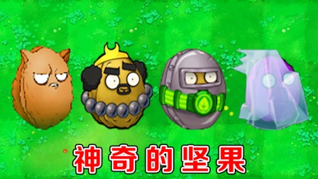 植物大战僵尸：不同版本中的坚果，有什么区别？