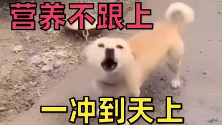 骆歆和 周淑怡我冲定了！耶稣也留不住